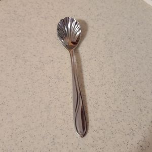 STAINLESS STEEL SPOON